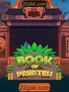 Descubra o Fascinante Mundo de BookOfPriestess e Suas Regras Envolventes