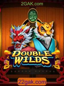 DoubleWilds: O Novo Fenômeno dos Jogos em 2GAK.com
